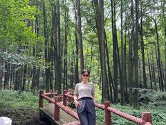 -波尔登森林公园