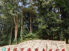 -广州市流溪河国家森林公园