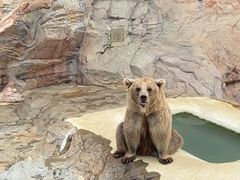 -珠海长隆海洋王国