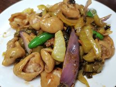 酸菜炒猪大肠-美食店(华贵路店)