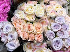 -循礼门鲜花花市(武汉循礼门店)