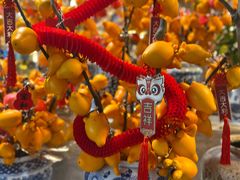 -金汇四季广场