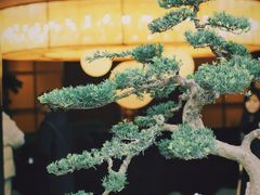 -椿杨樘·明康泡浴养生馆(重庆店)