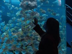 -厦门海底世界