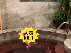 -汤印温泉假日酒店(崇礼富龙滑雪场店)
