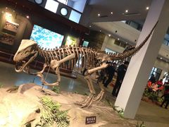 -自贡恐龙博物馆