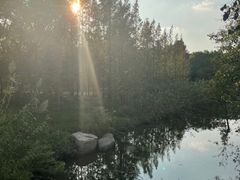 -上海滨江森林公园