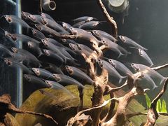 -太平洋海底世界