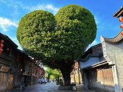 -三坊七巷历史文化街区