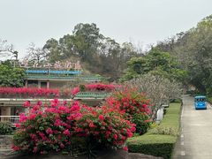 -广州莲花山旅游区