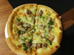 -百好乐宠物友好餐厅(朝外大街店)