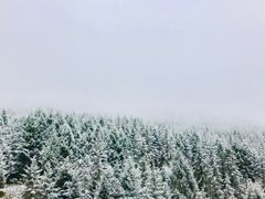 -硗碛藏寨·神木垒景区