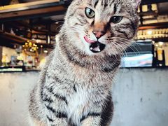 -么么咖啡(燕郊店)