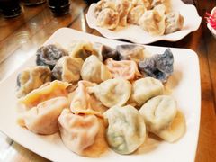 -宝源饺子(麦子店街店)