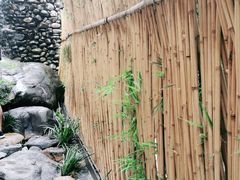 -天水蔬食料理(树德之光店)