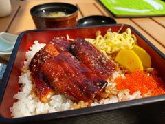 鳗鱼盖饭-Hatsune隐泉日式料理(三里屯太古里店)