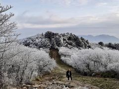 -湖州龙王山景区