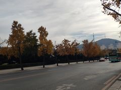 -大连人民广场