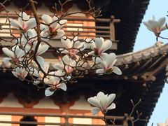 -上海方塔园