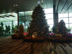 -樟宜机场购物中心