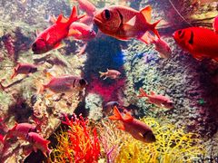 -太平洋海底世界