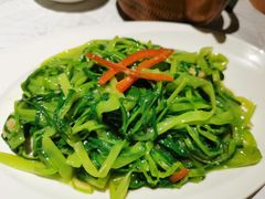 -大鸽饭(体育西路店)