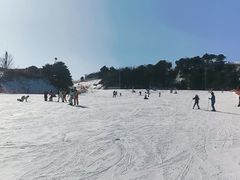 -蓟洲国际滑雪场