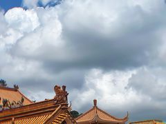 -深圳仙湖植物园