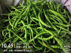 -烹湘·鲜炒湖南土菜(海珠店)