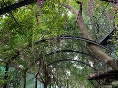 -美丽南方·老木棉匠园·团建烧烤·烤全羊