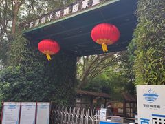 -华侨城湿地公园