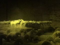 -汉景帝阳陵博物院