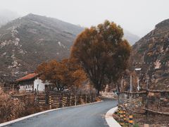 -芦芽山旅游度假区