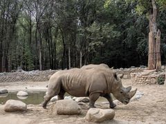 -北京野生动物园