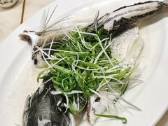 油盐蒸青竹皖鱼-稻香酒家·35年老字号(侨光店)