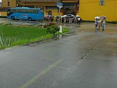 -南汇水蜜桃采摘(大团店)