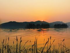 -东湖落雁景区