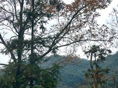 -宁海森林温泉
