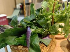 -一朵菌·野生菌探索家火锅(南亚店)