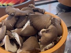-龍歌自助小火锅(李沧丽达店)