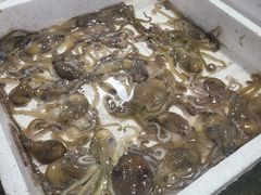 -西门岛码头海鲜馆