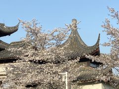 -苏州上方山国家森林公园