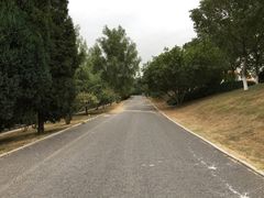 拍照小路-青龙湖公园