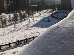 -长白山万达喜来登度假酒店