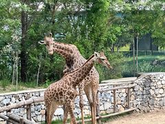 -北京野生动物园