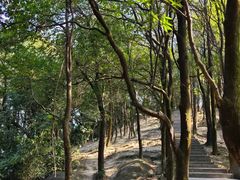-火炉山森林公园
