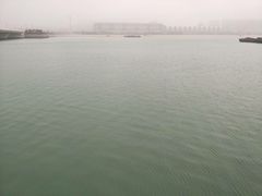 -星光岛