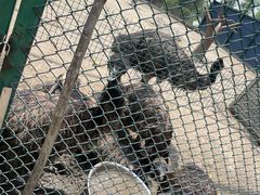 -武清南湖绿博园