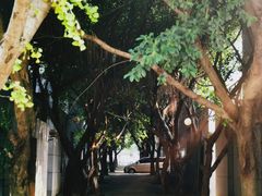 -龙潭水乡