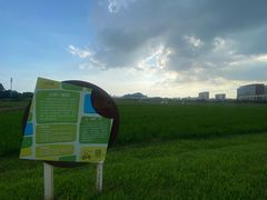 -光明小镇欢乐田园